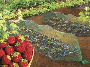 Мрежа срещу птици Nortene Birdnet