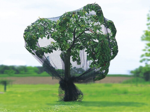 Плетена мрежа срещу птици Nortene Pronet