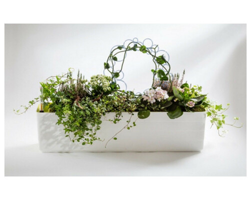 Сандъче с напоителна система Plastia Berberis 59х20х20 см