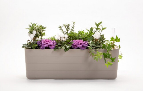 Сандъче с напоителна система Plastia Berberis 79х20х20 см