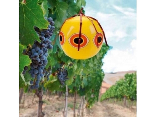 ПЛАШИЛО ЖЪЛТО ХИЩНО ОКО ЗА ГЪЛЪБИ, ВРАБЧЕТА, СКОРЦИ, КЪЛВАЧИ