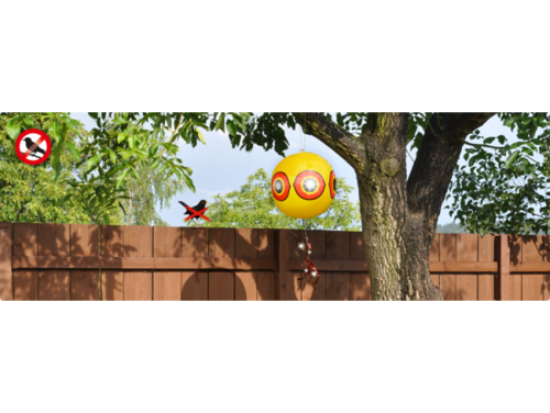 ПЛАШИЛО ЖЪЛТО ХИЩНО ОКО ЗА ГЪЛЪБИ, ВРАБЧЕТА, СКОРЦИ, КЪЛВАЧИ