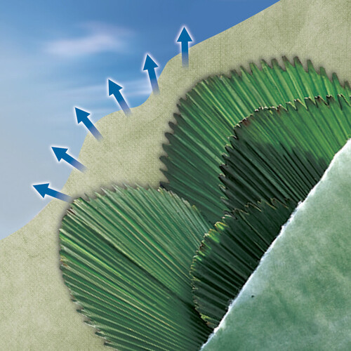 Зимно покривало Nortene Ouatex 85 гр 1 х 10 м