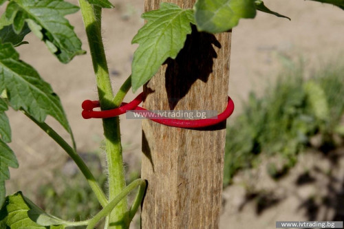 Пластмасови скоби за домати TOMATOCLIP