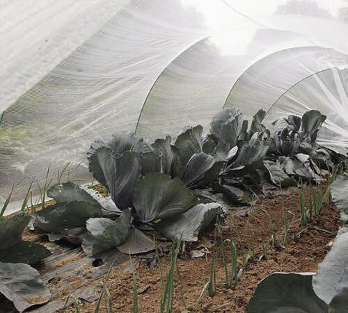 Мрежа против насекоми PROTEC