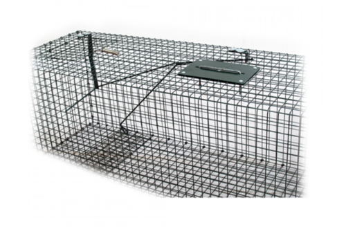 Капан за белки, порове, лисици