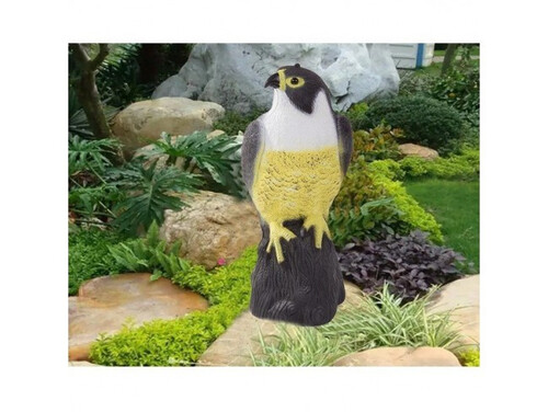 Плашило сокол против гризачи и птици