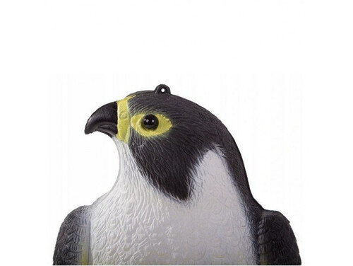 Плашило сокол против гризачи и птици