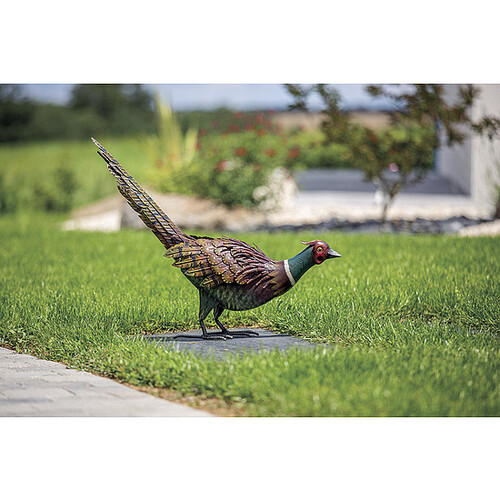 Декоративен фазан Feesy Nortene