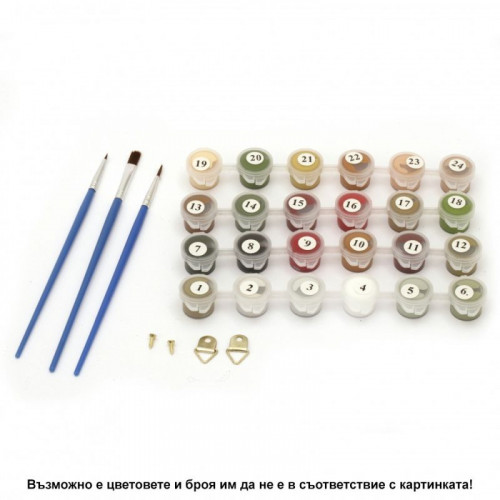 Комплект за рисуване по номера с платно 40х30 см, Модел 3