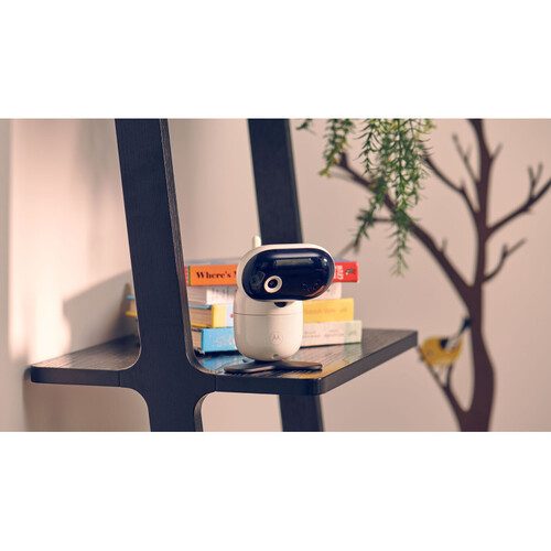 IP камера Motorola PIP1010