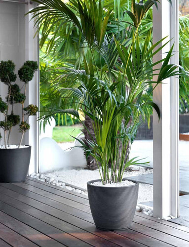 Кръгла кашпа RING 38 см.