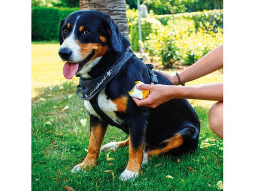 Електрически гребен за бълхи GARDIGO FLOH-KAMM BZZZ