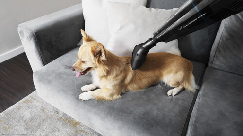 Ръчна прахосмукачка Conga Immortal extremesuction 22.2 V