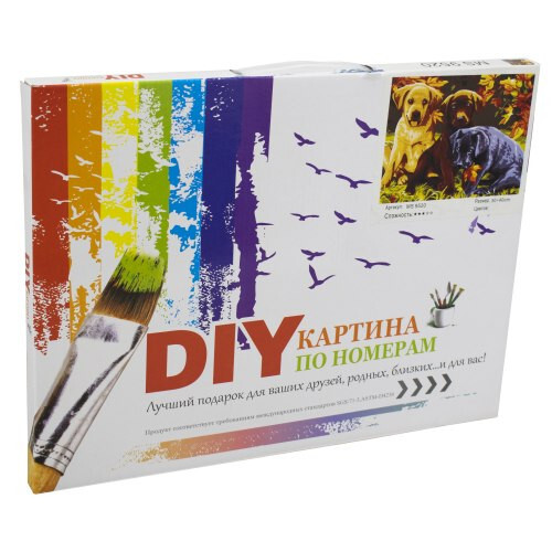 Комплект за рисуване по номера с платно Модел 37