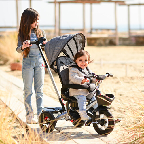 Детска триколка с въздушни гуми Lorelli Zippy