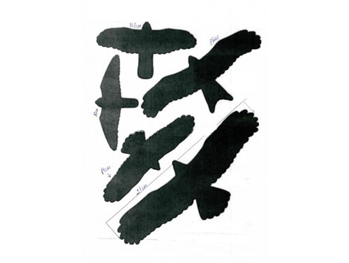 Стикер за защита на прозорци/стъкла от сблъсък на птици-55x25 см