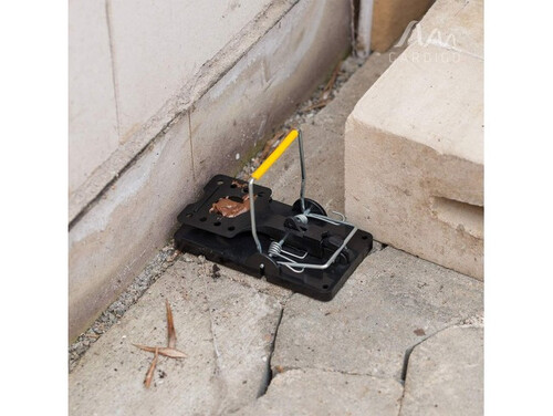 Капан за моментно убиване на плъх Gardigo