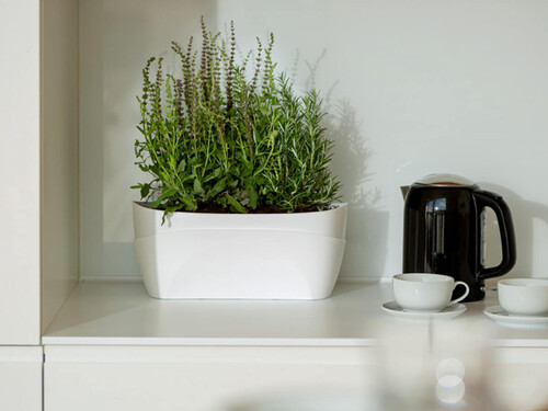 Сандъче с напоителна система Doppio 38 бяла