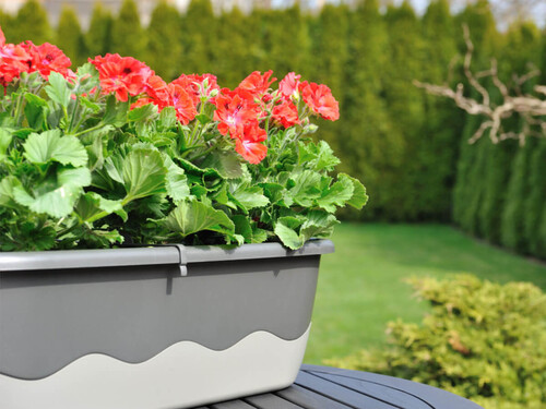 Сандъче с напоителна система Mareta 60