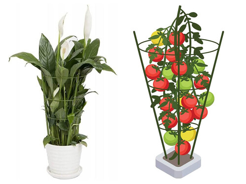 Опора за растения с три пръстена Bradas 75см