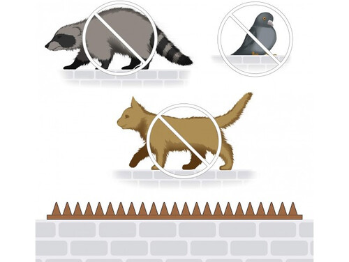 Мини шипове против котки и птици Прозрачни