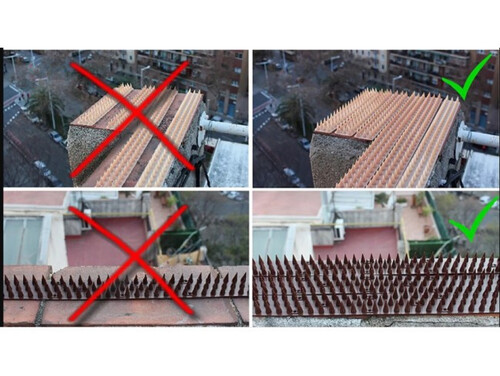 Мини шипове против котки и птици Прозрачни