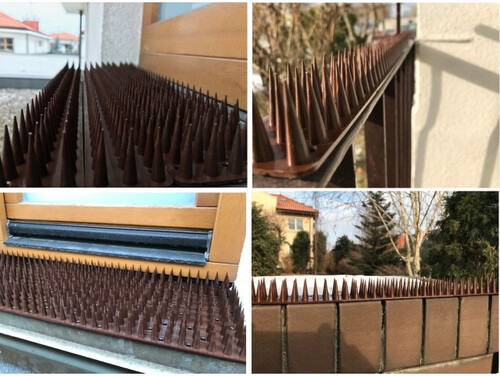 Мини шипове против котки и птици Прозрачни