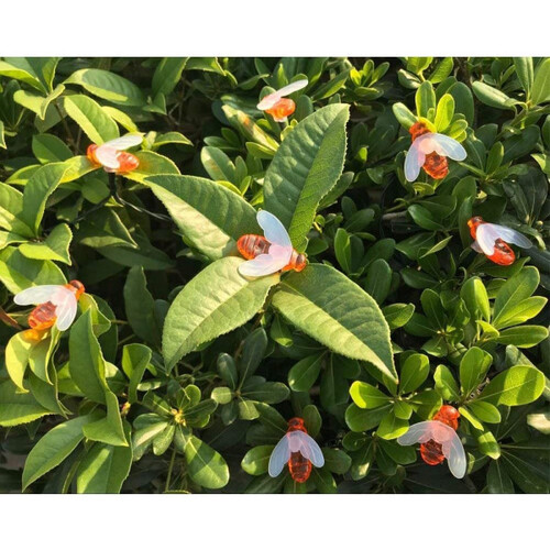 Соларен LED гирлянд My Garden SSL-6021