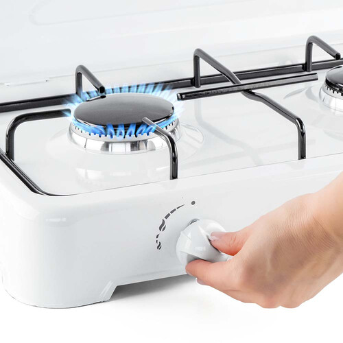 Котлон газов Termomax TX202