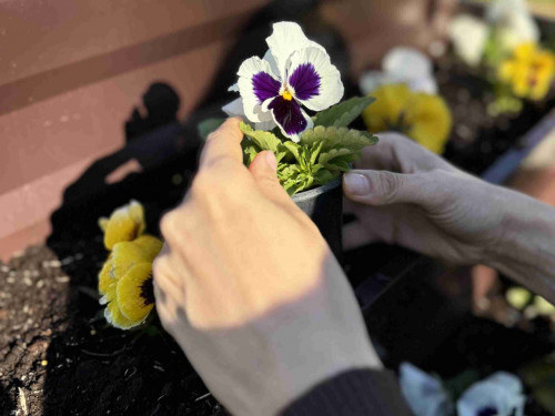 Цветарник Primaterra Hexagonal 3 - Шоколад