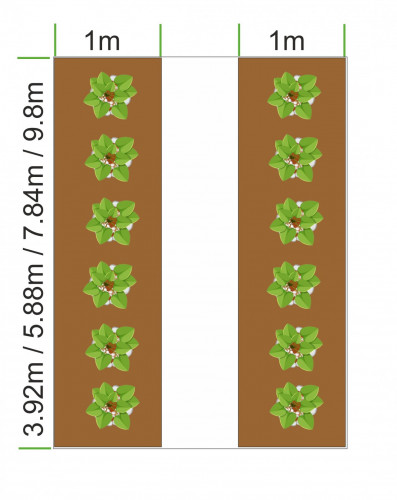 Комплект Primaterra - 2 лехи за оранжерия