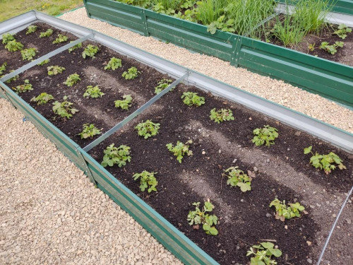 Градинска леха Primaterra 2м - Green