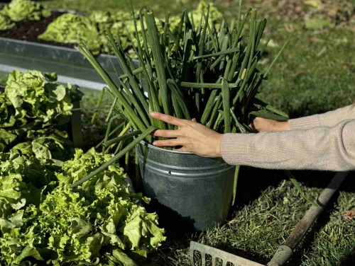 Градинска леха Primaterra - 1м Zinc