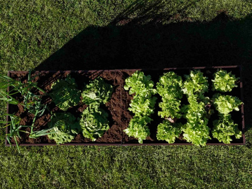 Градинска леха Primaterra - 1м Choco