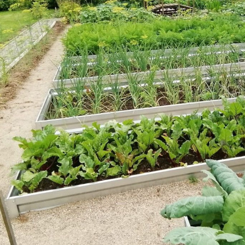 Градинска леха Primaterra 2м  - Zinc