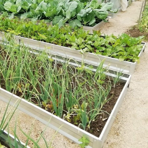 Градинска леха Primaterra 8м - Zinc