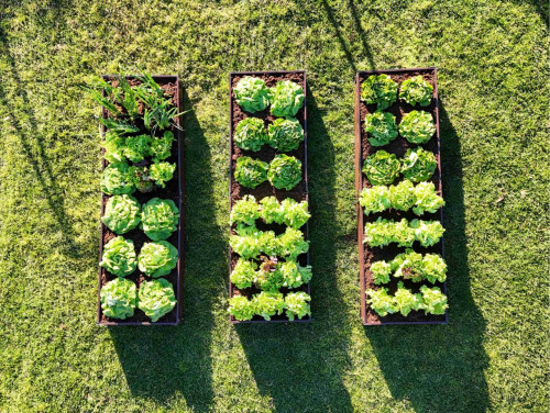 Градинска леха Primaterra 10м - Choco