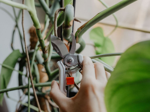 Градинска ножица Bradas White Line с разминаващи остриета