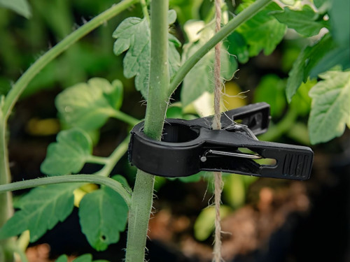 Щипки за растения 20mm x 10 бр