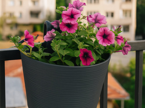 Саксия за балкон Donna 30 cm